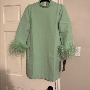Mint Green Feathered Dress